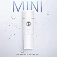 Mini Portable Nano Mister Facial Steamer Air Humidifier