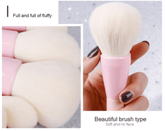 14pcs Pink Green Gradient Makeup Brushes Set
