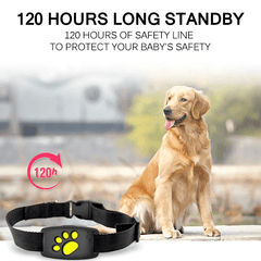 Dogs Cats Pet Waterproof GPS Tracker Collar