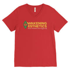 Awakening Aesthetics V Neck T Shirt For Men