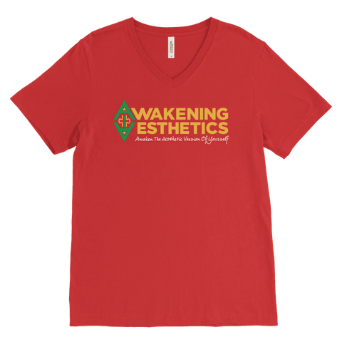 Image of Awakening Aesthetics V Neck T Shirt For Men