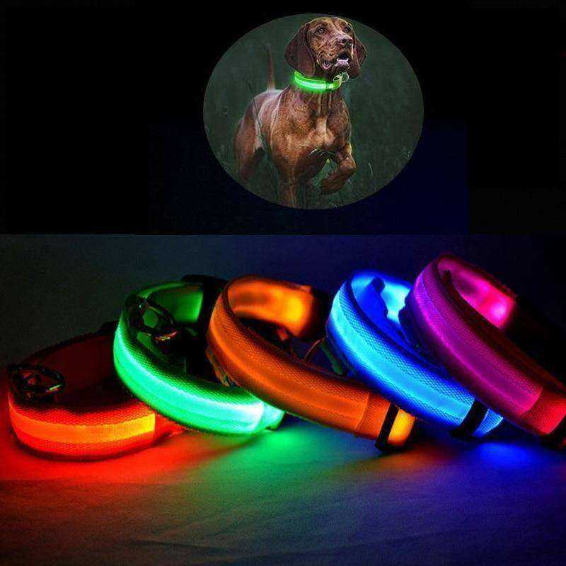 LED Dog Collar New USB Rechargeable 3 Modes
