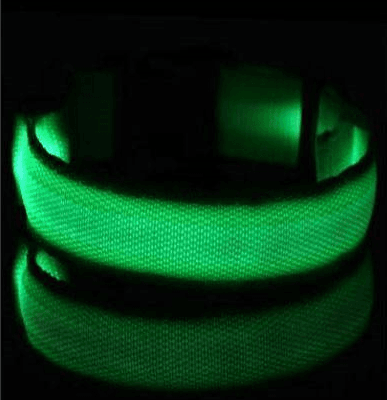 Image of LED Dog Collar New USB Rechargeable 3 Modes