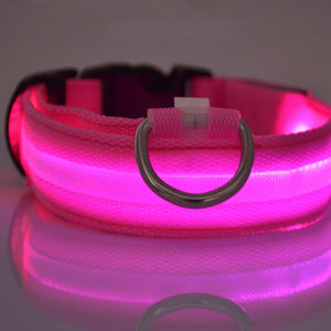 LED Dog Collar New USB Rechargeable 3 Modes