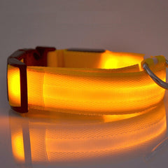 LED Dog Collar New USB Rechargeable 3 Modes