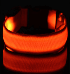 LED Dog Collar New USB Rechargeable 3 Modes