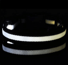 LED Dog Collar New USB Rechargeable 3 Modes