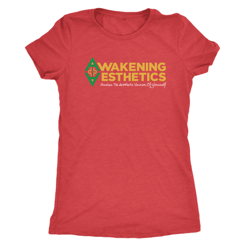 Image of Awakening Aesthetics Next Level Womens Triblend T Shirt