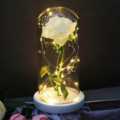 Red Rose In A Glass Dome With LED Light