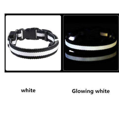 LED Dog Collar New USB Rechargeable 3 Modes