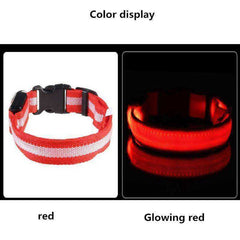 LED Dog Collar New USB Rechargeable 3 Modes