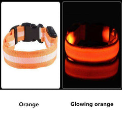 LED Dog Collar New USB Rechargeable 3 Modes