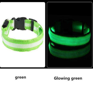 LED Dog Collar New USB Rechargeable 3 Modes