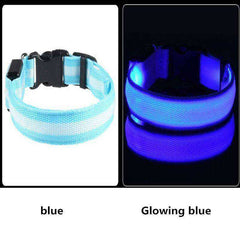 LED Dog Collar New USB Rechargeable 3 Modes