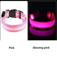 LED Dog Collar New USB Rechargeable 3 Modes