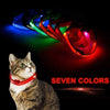 Cat & Kitten New Bright LED Collar 7 Color Glowing Cat Leash
