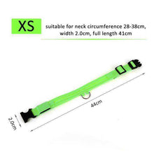 Cat & Kitten New Bright LED Collar 7 Color Glowing Cat Leash