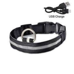 LED Dog Collar New USB Rechargeable 3 Modes