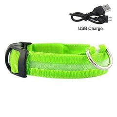 LED Dog Collar New USB Rechargeable 3 Modes
