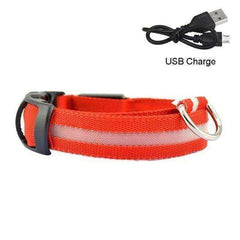 LED Dog Collar New USB Rechargeable 3 Modes