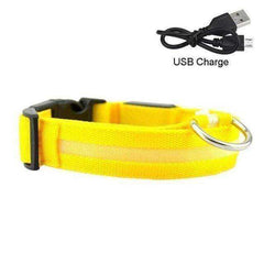 LED Dog Collar New USB Rechargeable 3 Modes