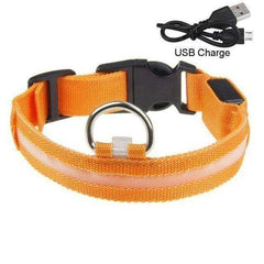 LED Dog Collar New USB Rechargeable 3 Modes