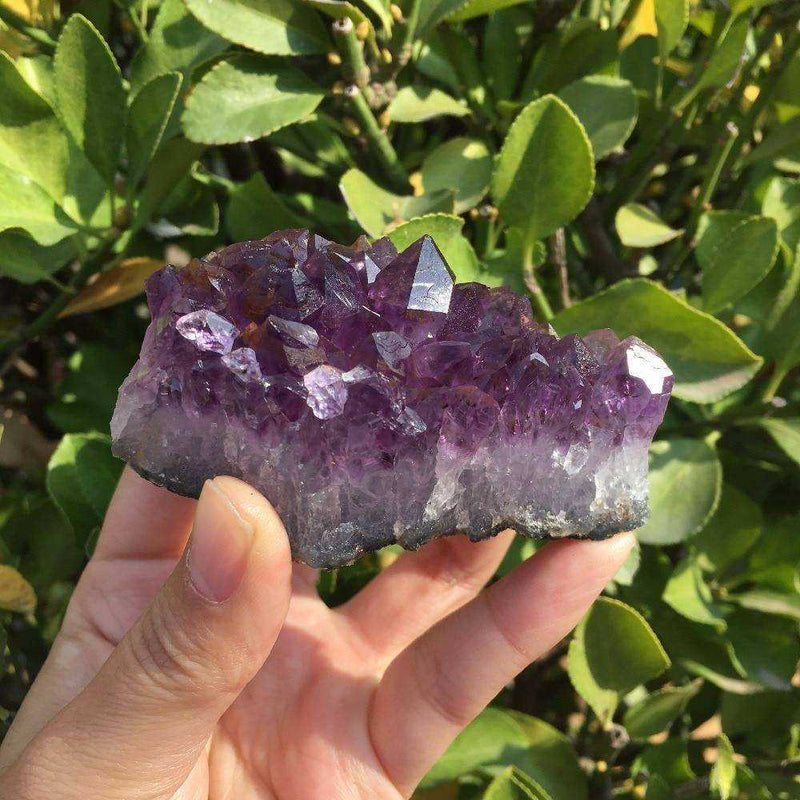 Amethyst Quartz Crystal Cluster