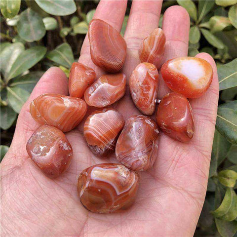 Image of Natural Red Carnelian Crystal