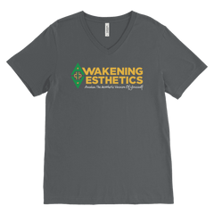 Awakening Aesthetics V Neck T Shirt For Men