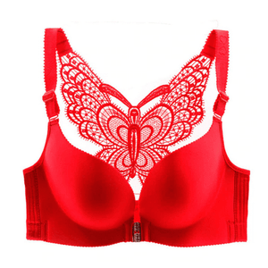 Beautiful Butterfly Front Closure Aesthetic Bra