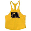 Animal Aesthetic Bodybuilding Stringer