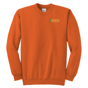 Awakening Aeshetics Youth Crewneck Sweatshirt