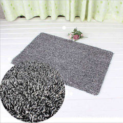 Anti Slip Super Absorbent Magic Doormat