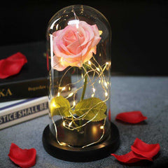 Red Rose In A Glass Dome With LED Light